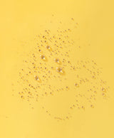 Everyday Active Clear Spray